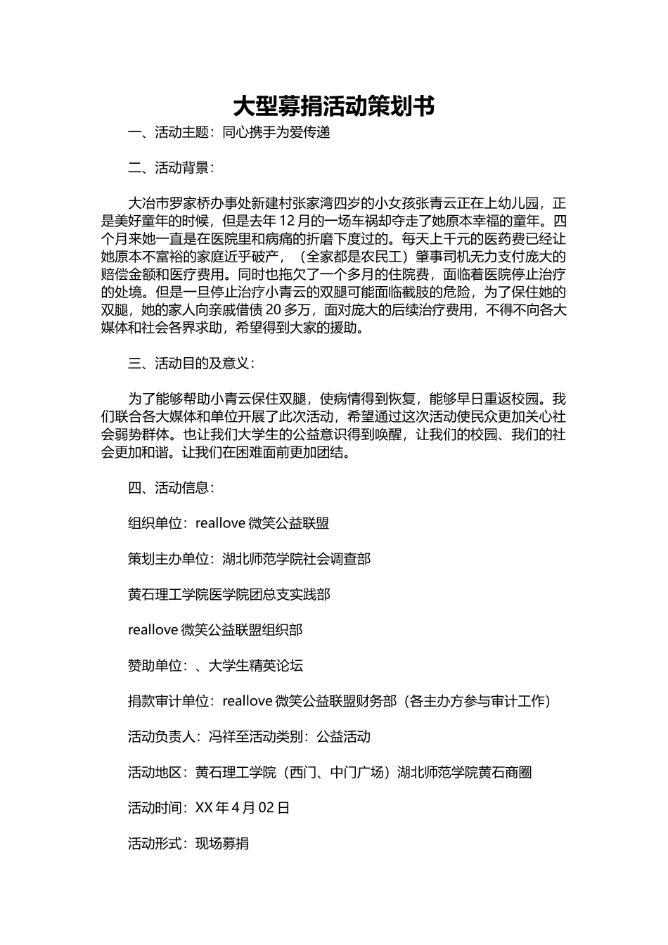 30-大型募捐活动策划书.docx_第1页