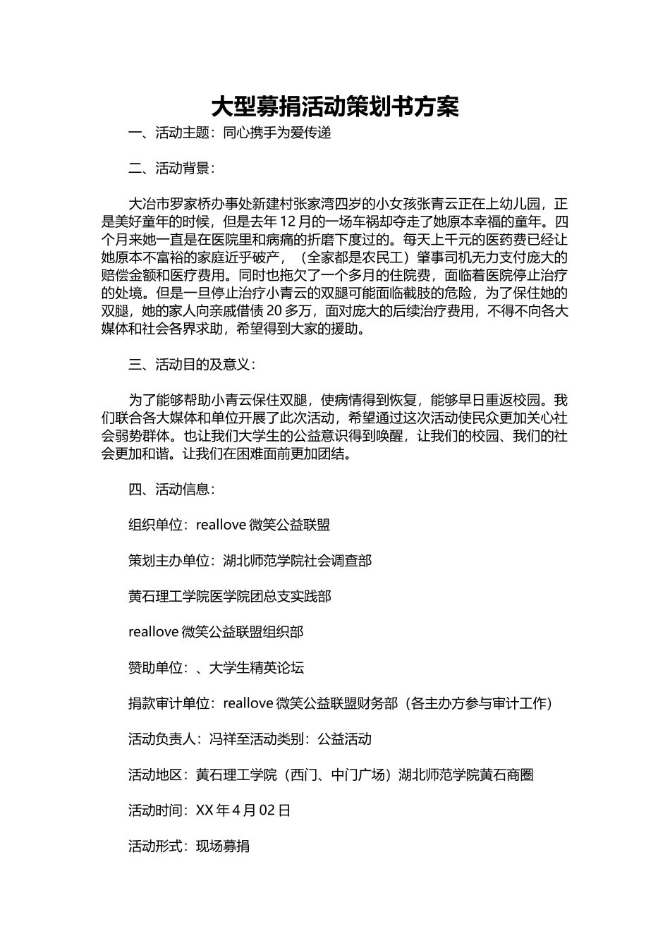 31-大型募捐活动策划书方案.docx_第1页