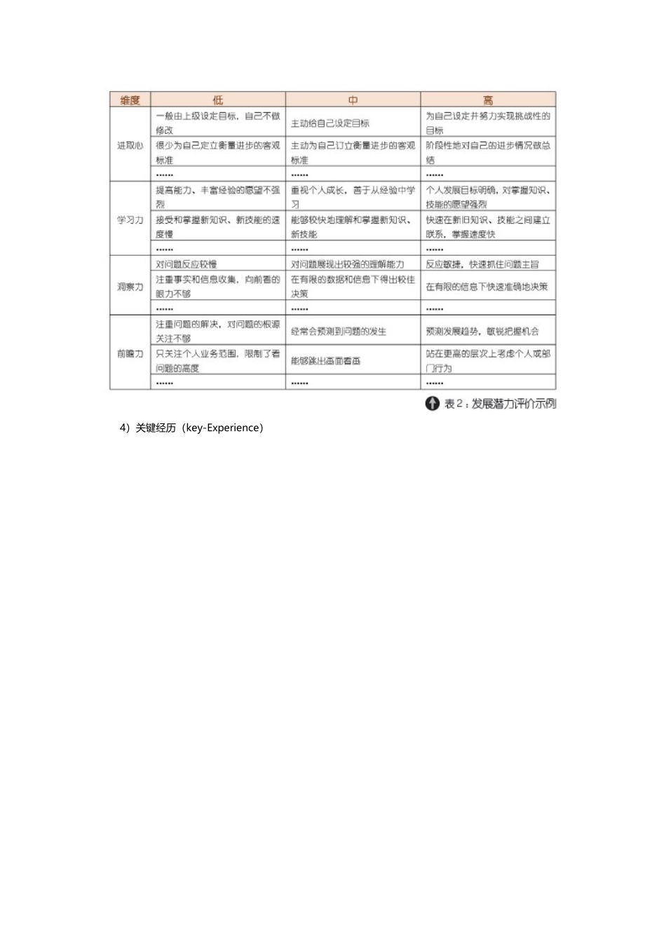 工具：人才盘点工具及案例分析.doc_第3页