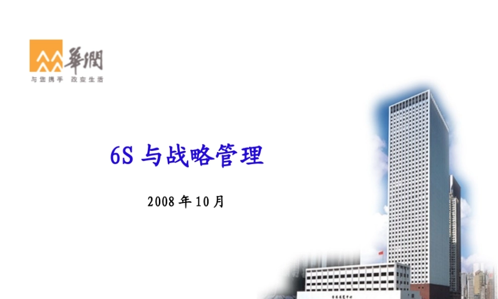 6S与战略管理(NF).ppt