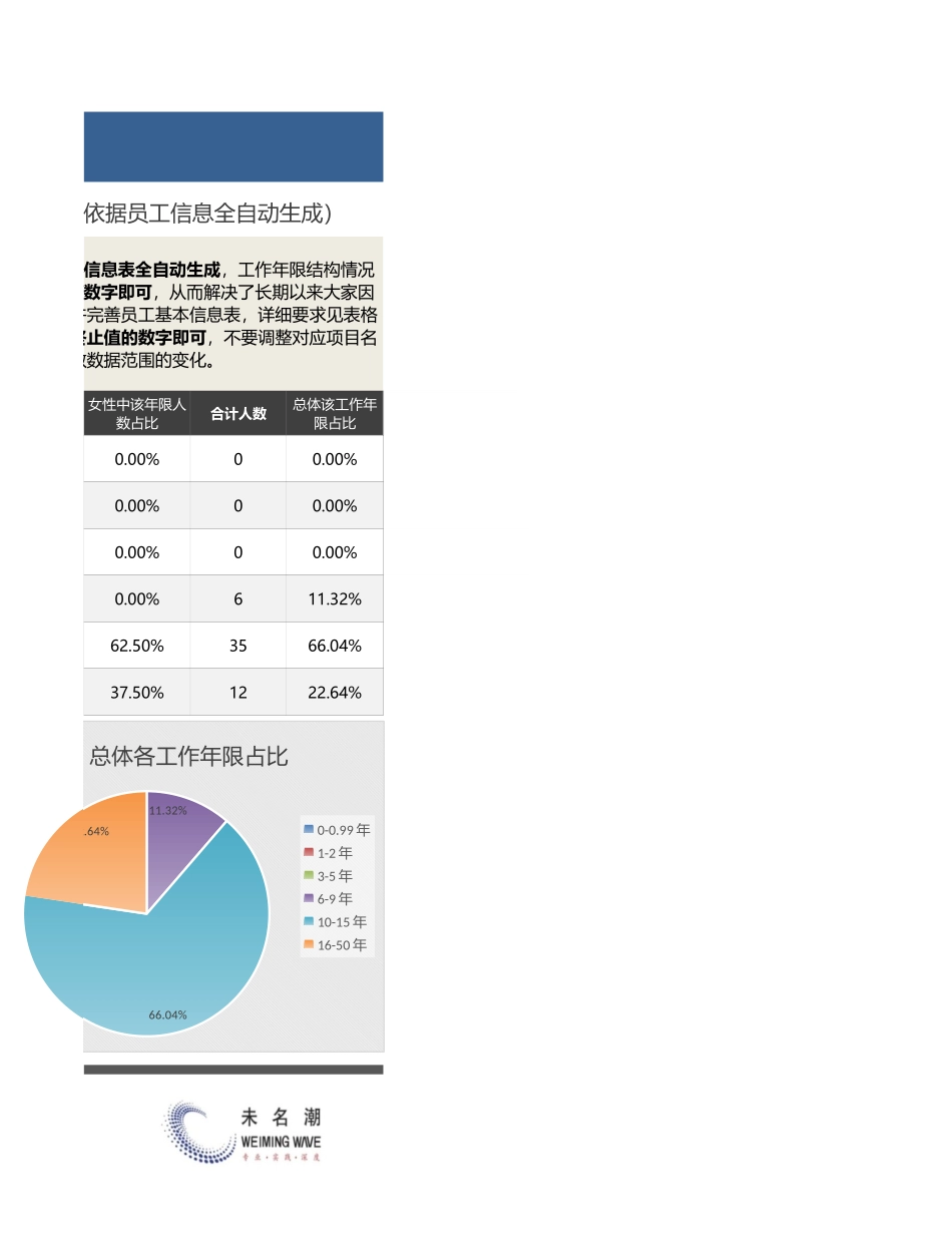 【人力资源管理工具】人力资源工作年限结构自动分析（可任意设置年限）.xlsx_第3页