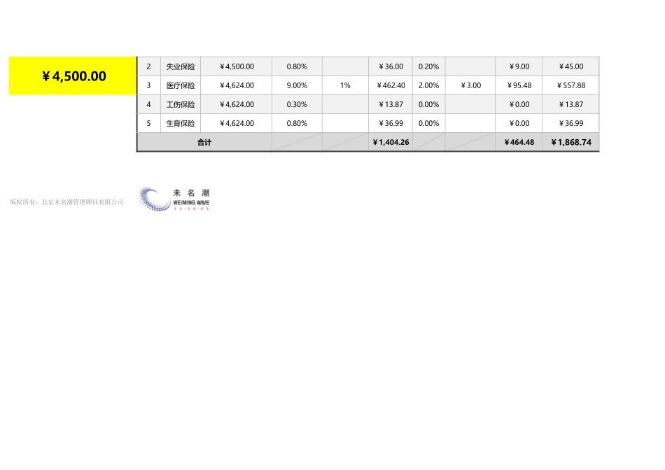 【薪酬管理工具】员工社保费用计算器（2020最新标准自动核准基数）.xlsx_第2页