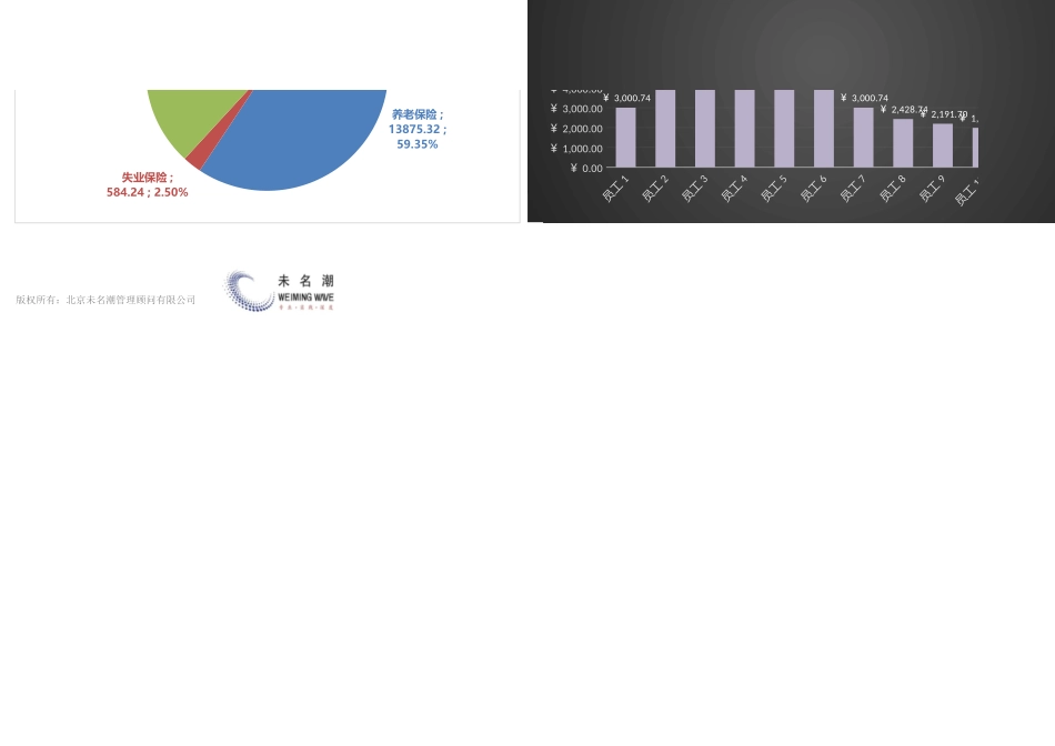 【薪酬管理工具】公司社保福利费用结构分析表（含住房公积金）.xlsx_第3页