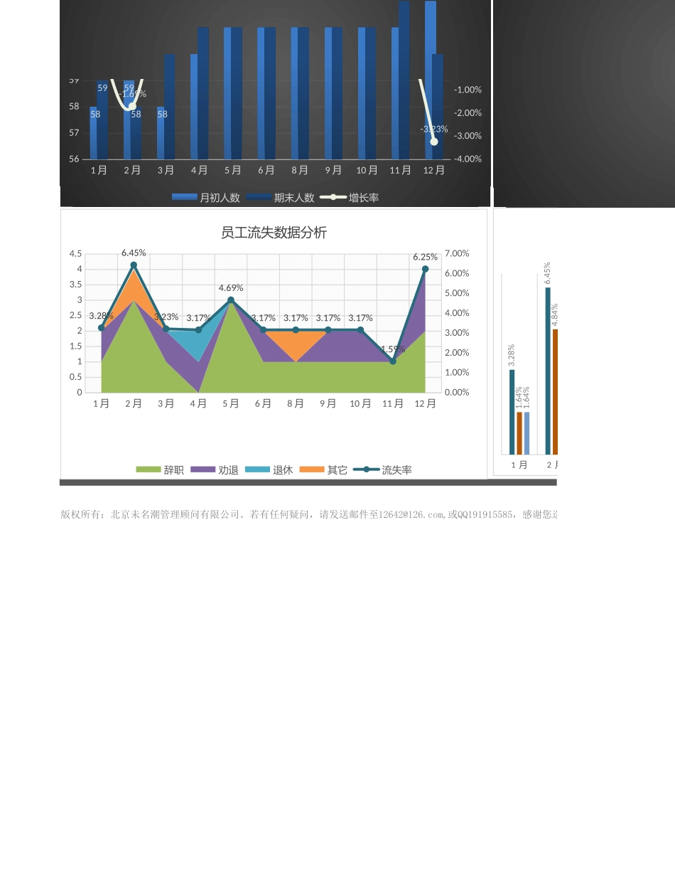【人力资源管理工具】人力资源流动分析（三张表自动专业分析）.xlsx_第2页