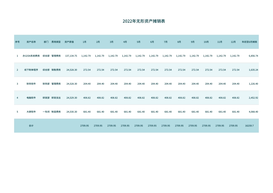02-【表格】-04 -无形资产明细账 (2).xlsx_第2页