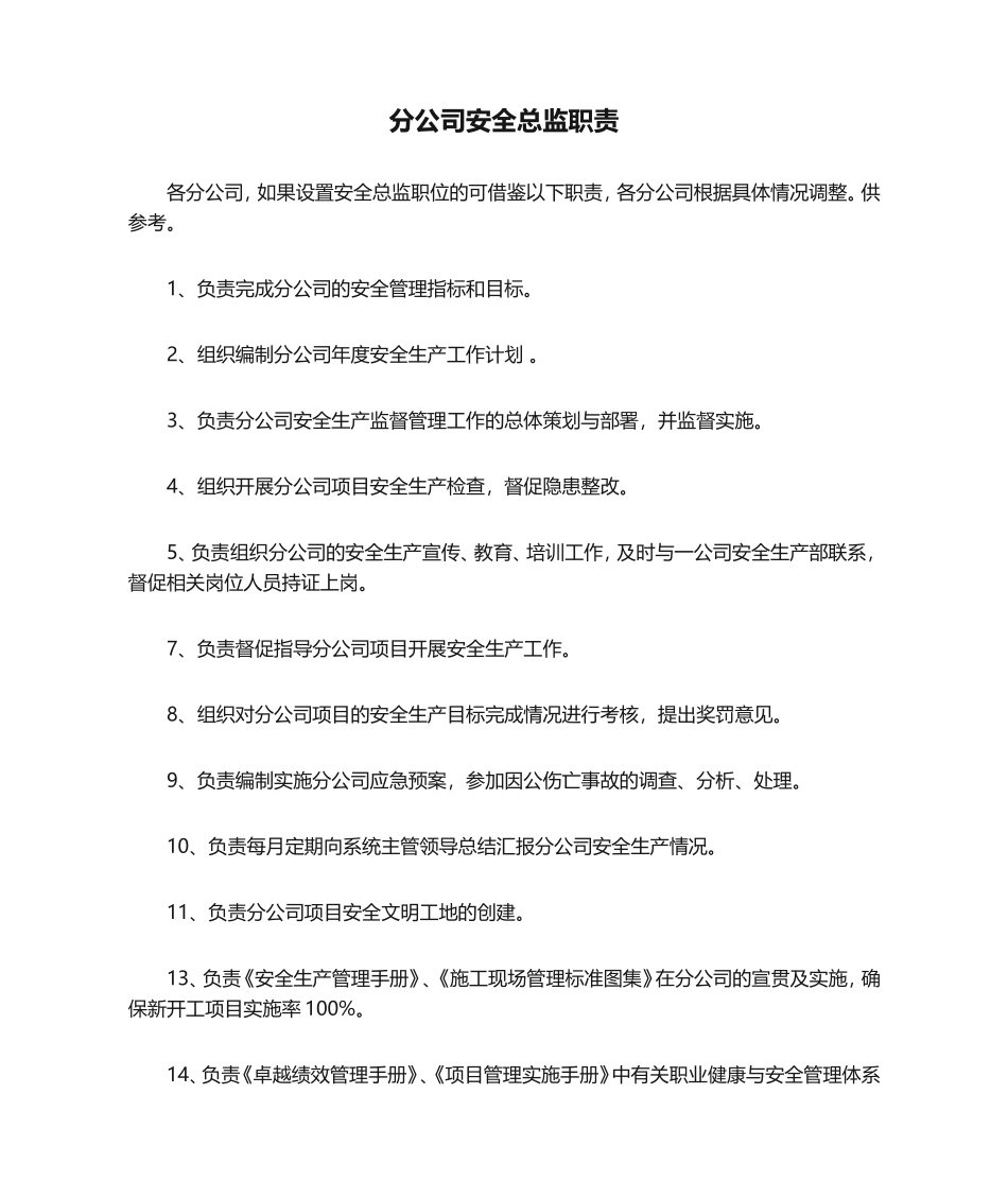 11-分公司安全总监职责.doc_第1页