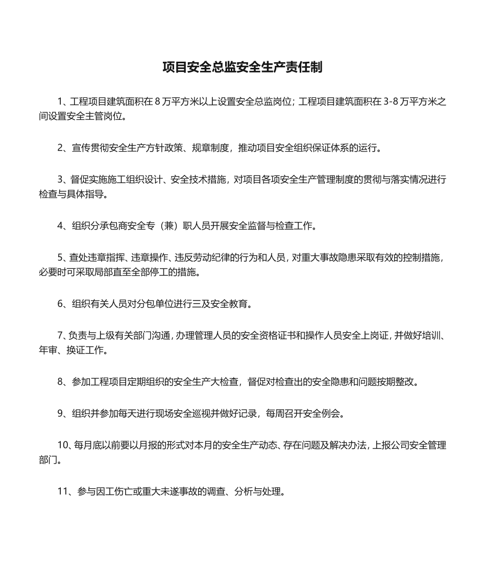 12-项目安全总监安全生产责任制.doc_第1页