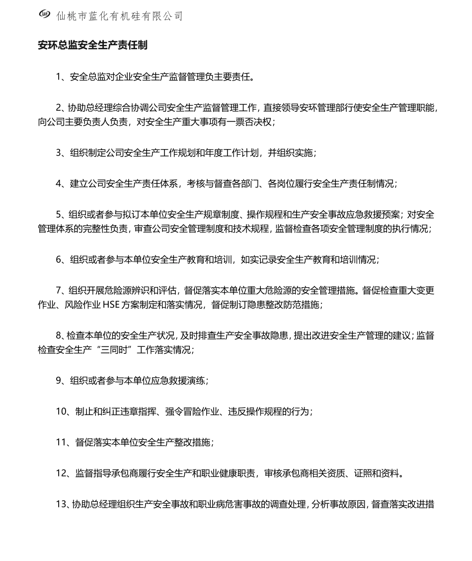 05-2020年度安全生产责任制(安全总监).doc_第1页