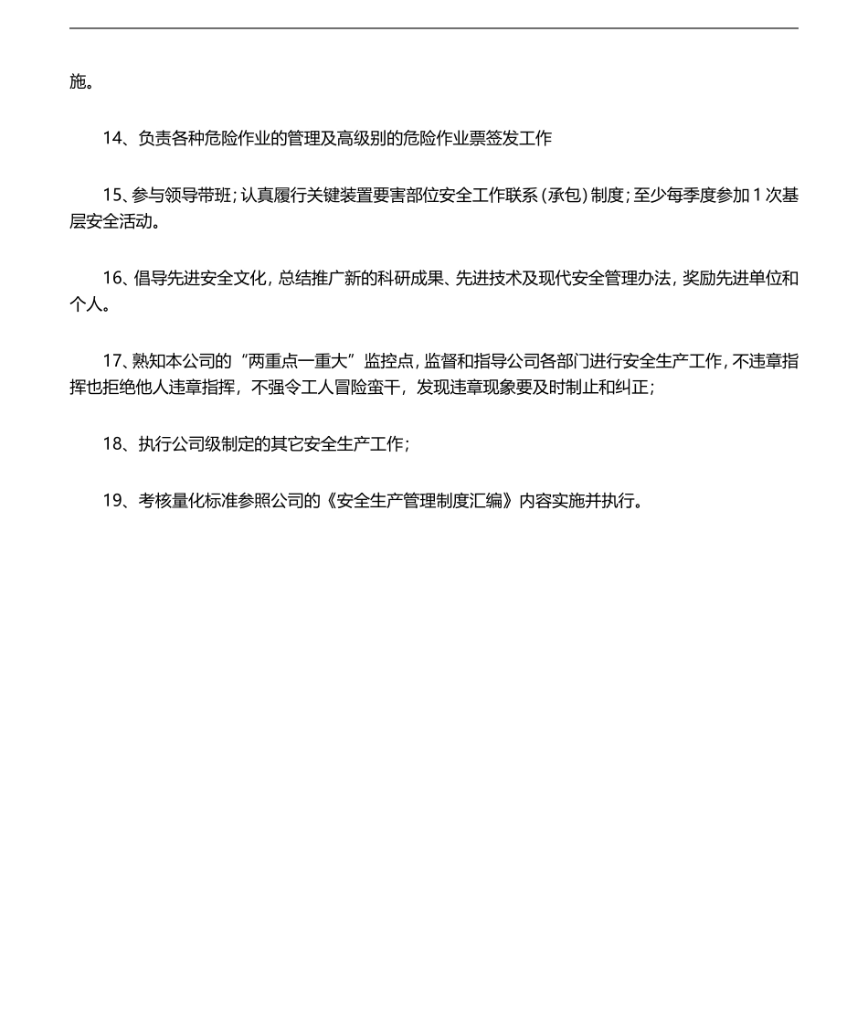 05-2020年度安全生产责任制(安全总监).doc_第2页