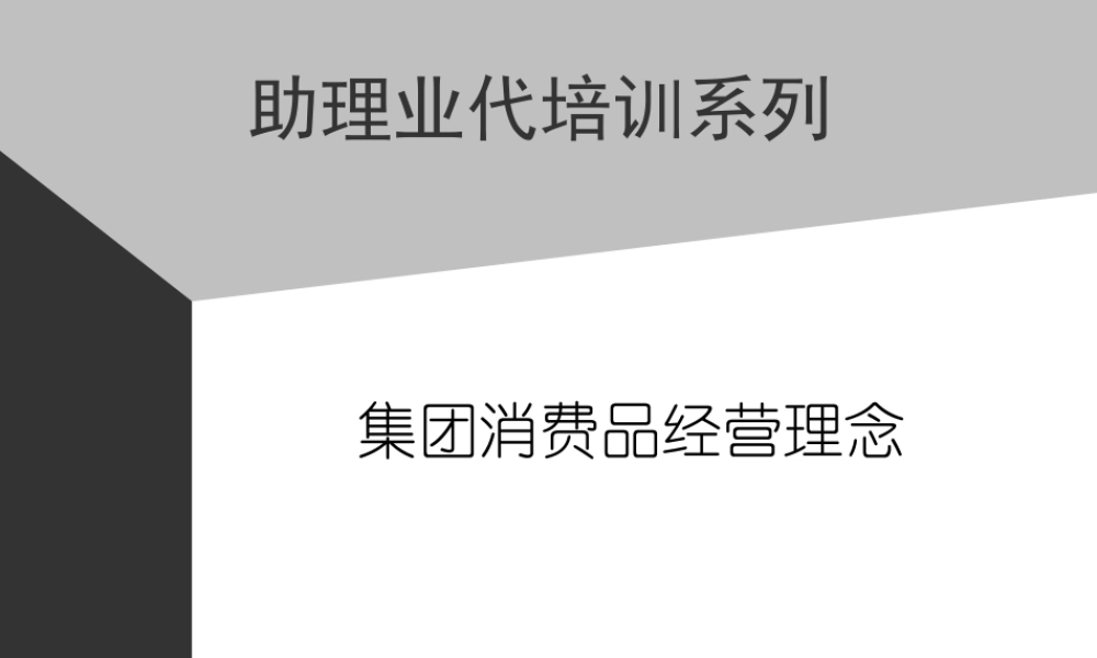 02助代-集团消费品经营理念(ppt 15)) (3).PPT