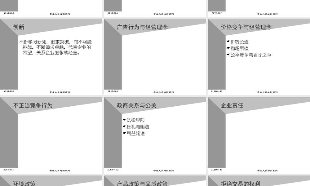 02助代-集团消费品经营理念(ppt 15)) (3).PPT