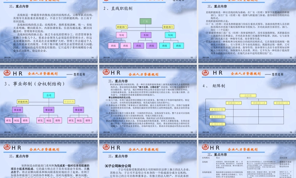 HR师认证复习资料-人力资源规划 (3).ppt