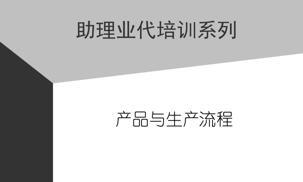 05助代-产品与生产流程 (3).PPT