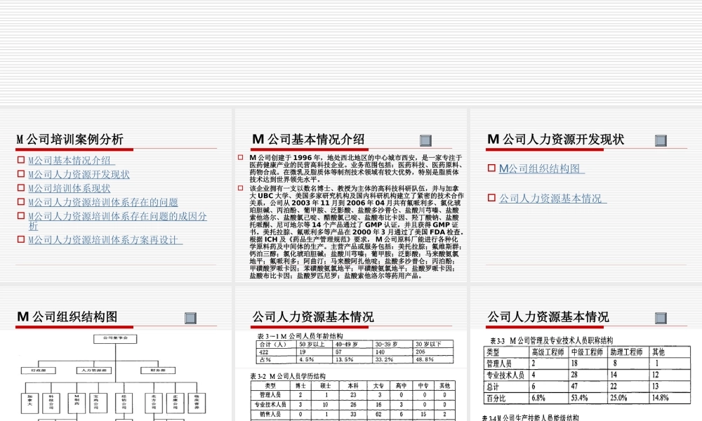 M公司培训案例分析 (3).ppt