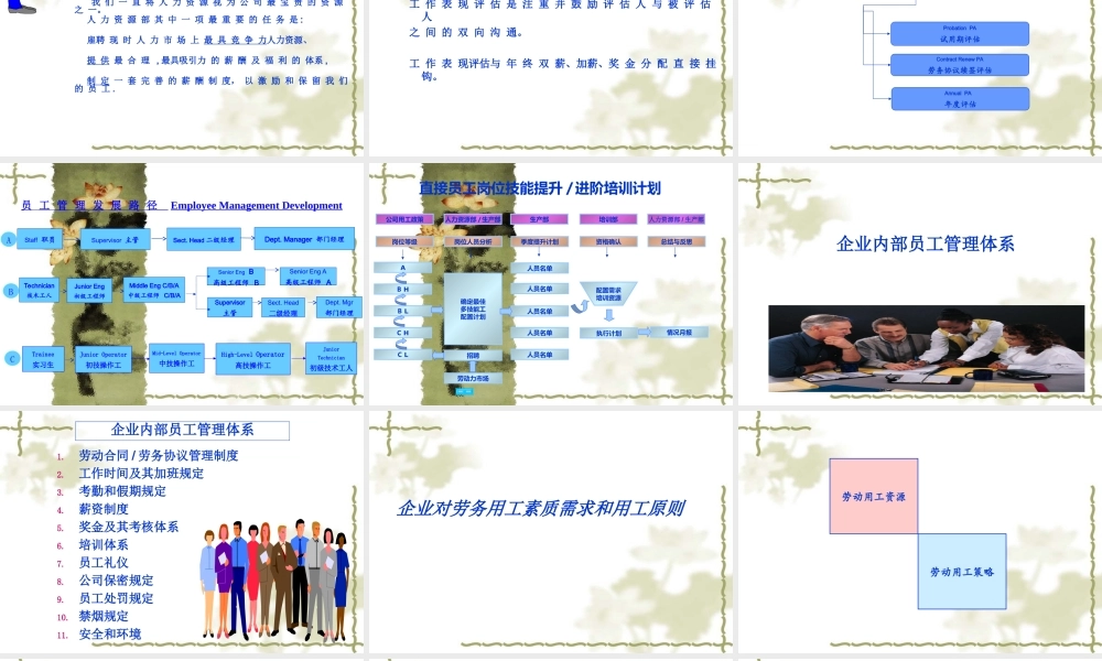 飞利浦企业文化和员工招聘条件 (3).ppt