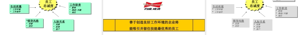 【案例分析】安盛-百威-企业文化分析报告 (3).ppt