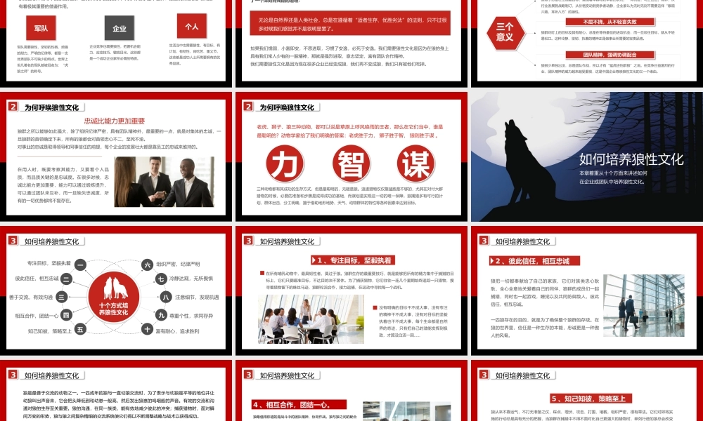 狼性文化精神企业文化建设培训PPT (2).pptx