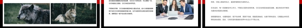 狼性文化精神企业文化建设培训PPT (2).pptx