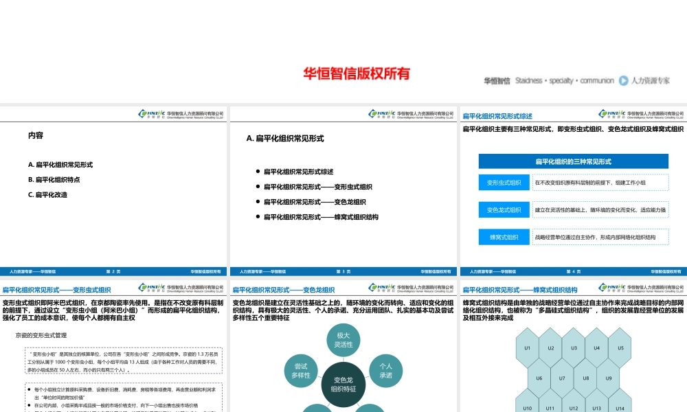 扁平化组织常见形式、特点及改造方法 (2).pptx