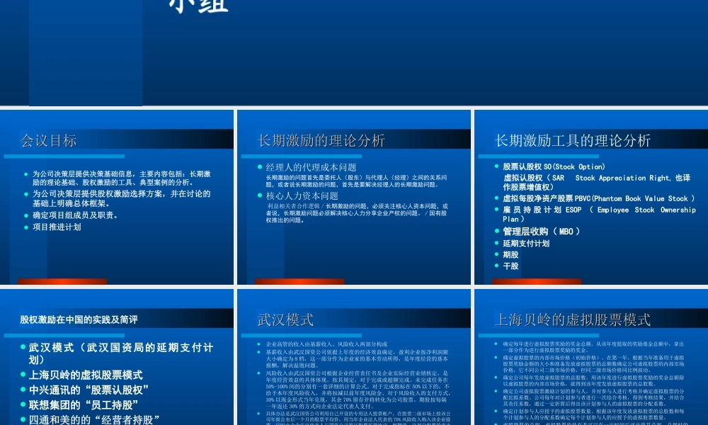 股权激励ppt (2).ppt
