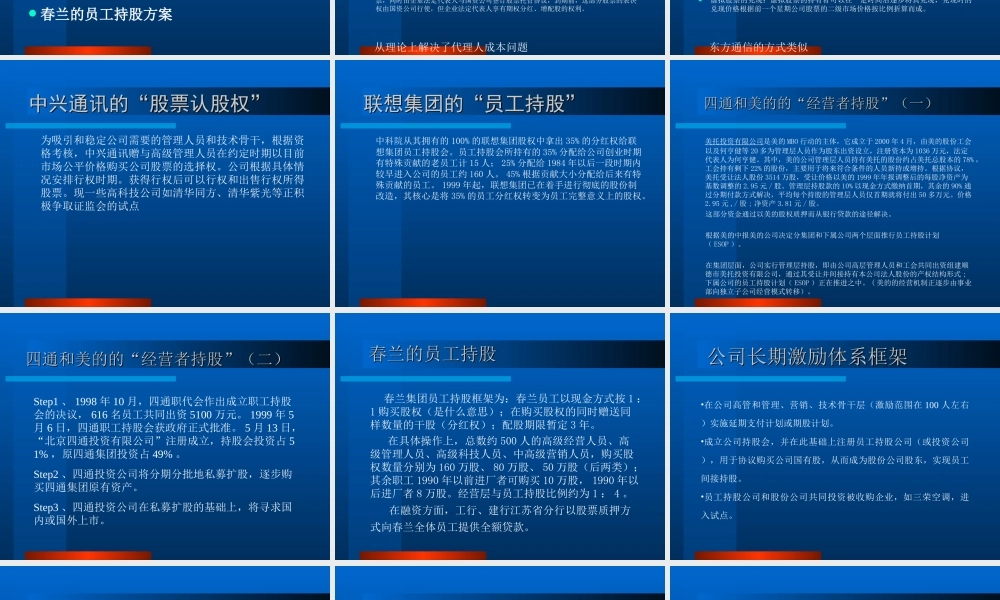 股权激励ppt (2).ppt