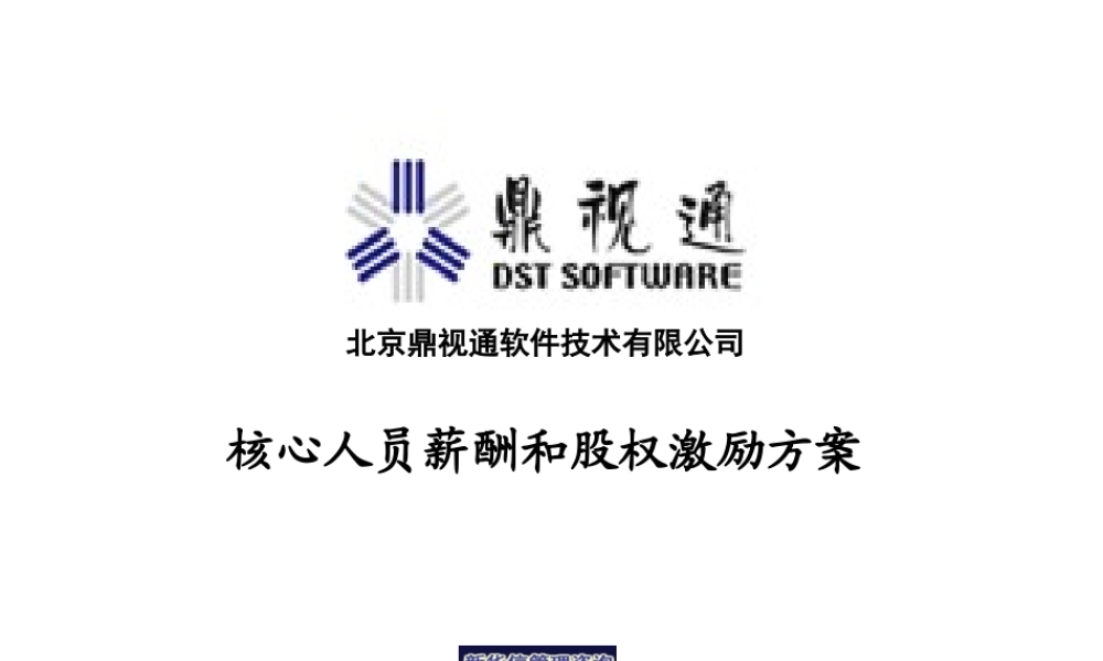 鼎视通核心人员薪酬股权激励方案 (2).ppt