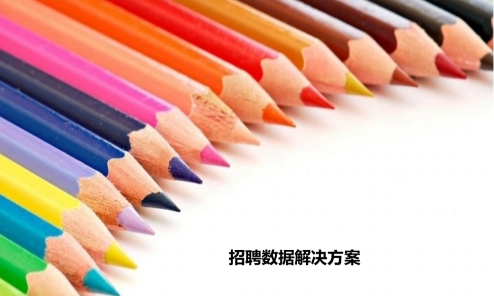 【招聘分析】招聘行业大数据解决方案 (2).pptx