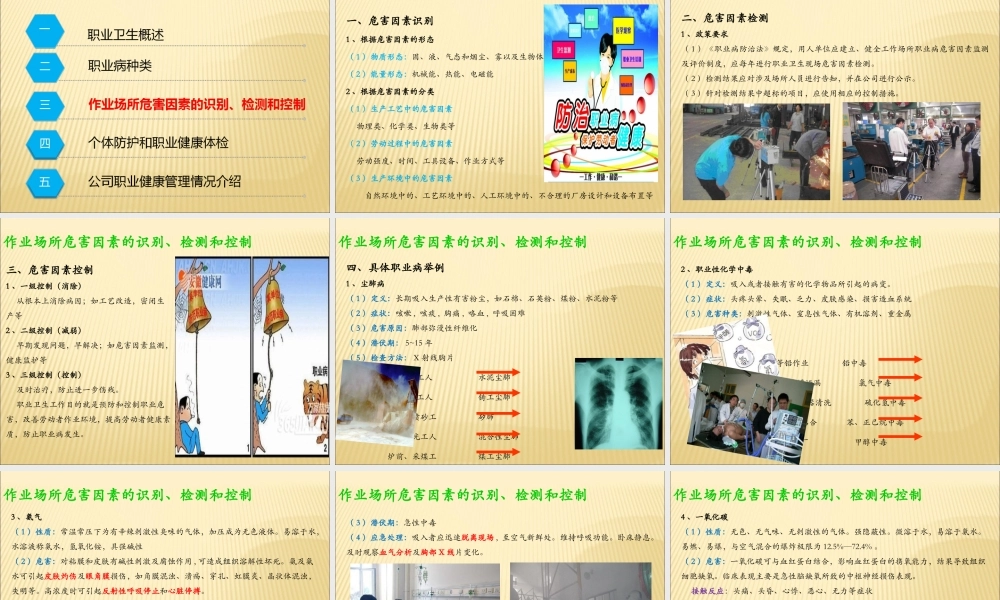 职业卫生专项培训教案（不用打印电子版保存备查） (2).ppt