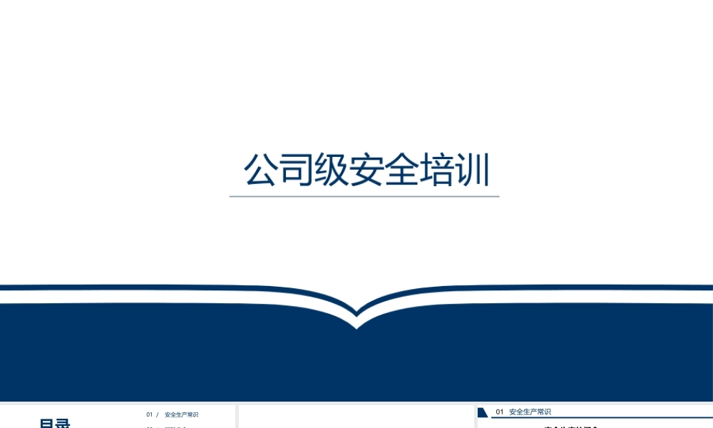 06公司级安全培训 (2).pptx