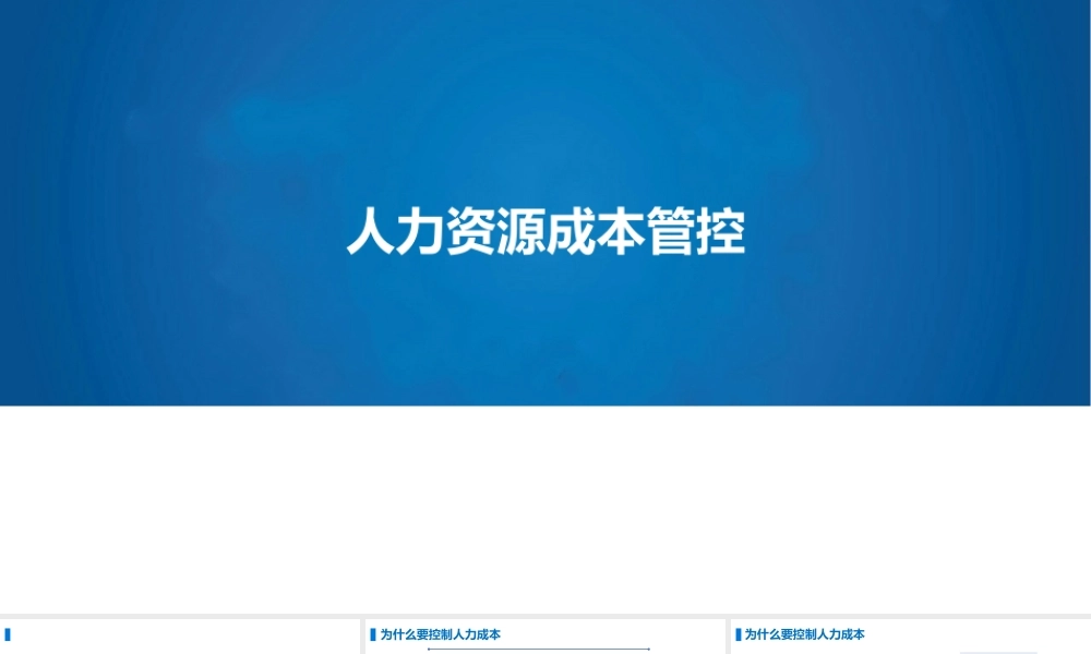 【HR体系】人力资源成本管控 (2).pptx