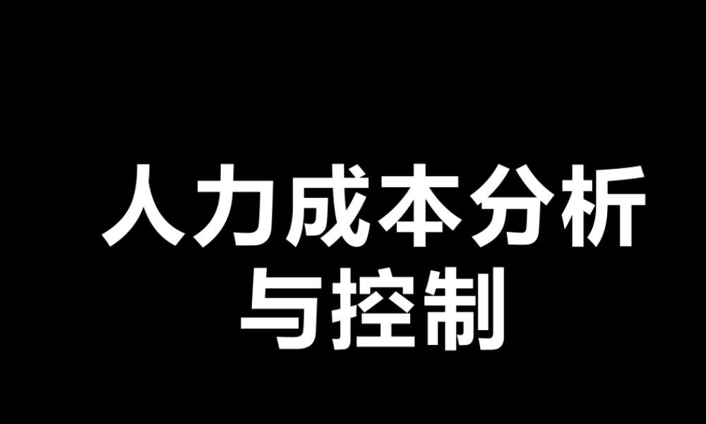 【费用预算】人力成本分析与控制 (2).pptx