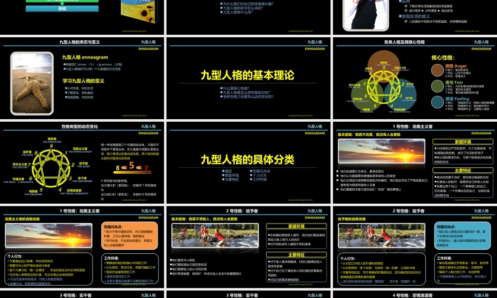 2.九型人格理论分类介绍 (2).ppt