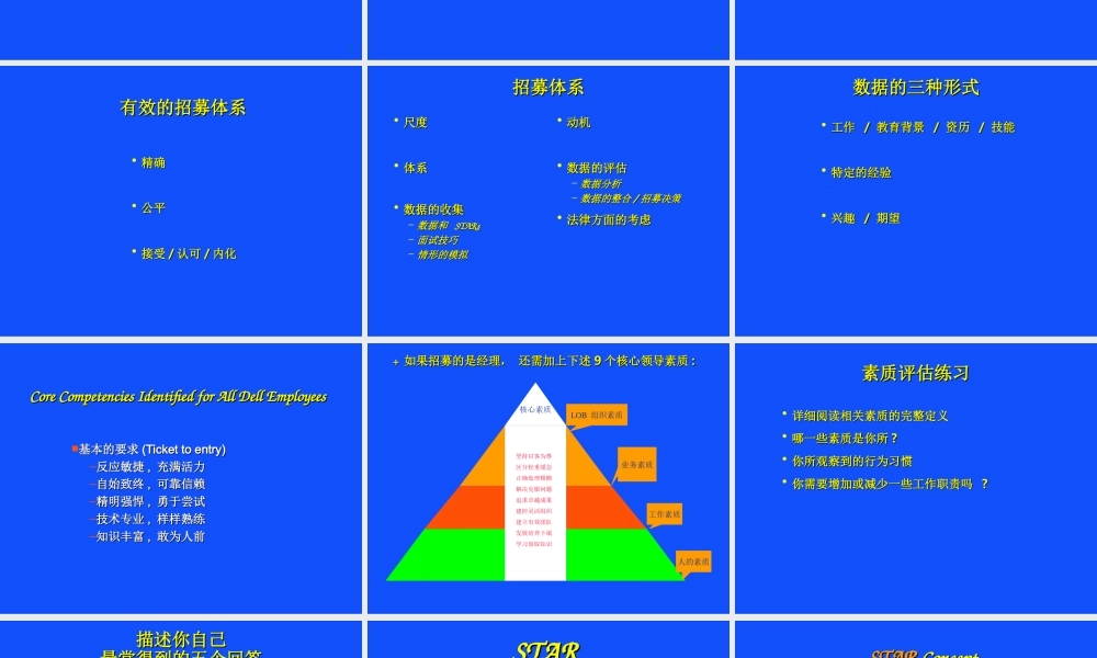 戴尔的人才招募系统-59页.ppt