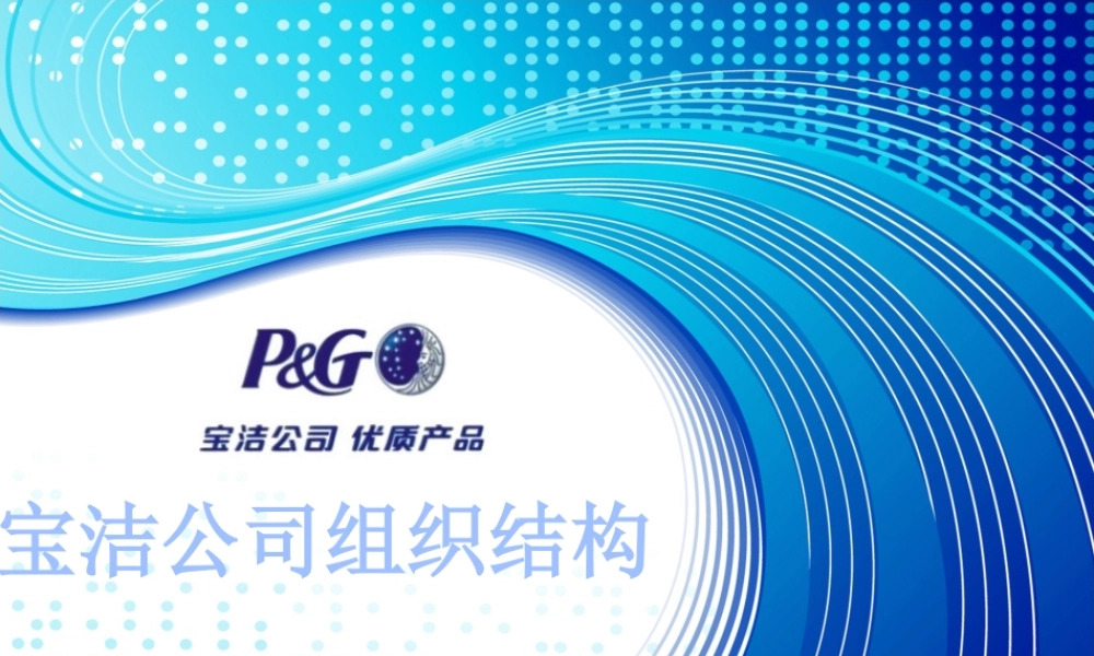 【实例】宝洁组织结构介绍.pptx