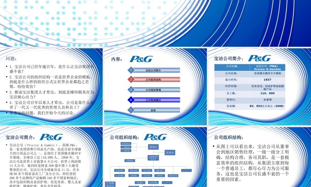 【实例】宝洁组织结构介绍.pptx