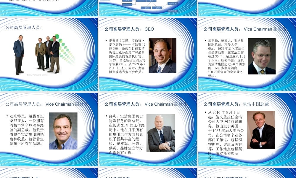 【实例】宝洁组织结构介绍.pptx