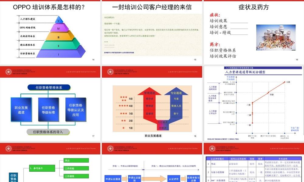 从任职资格到人才梯队建设-42页.ppt