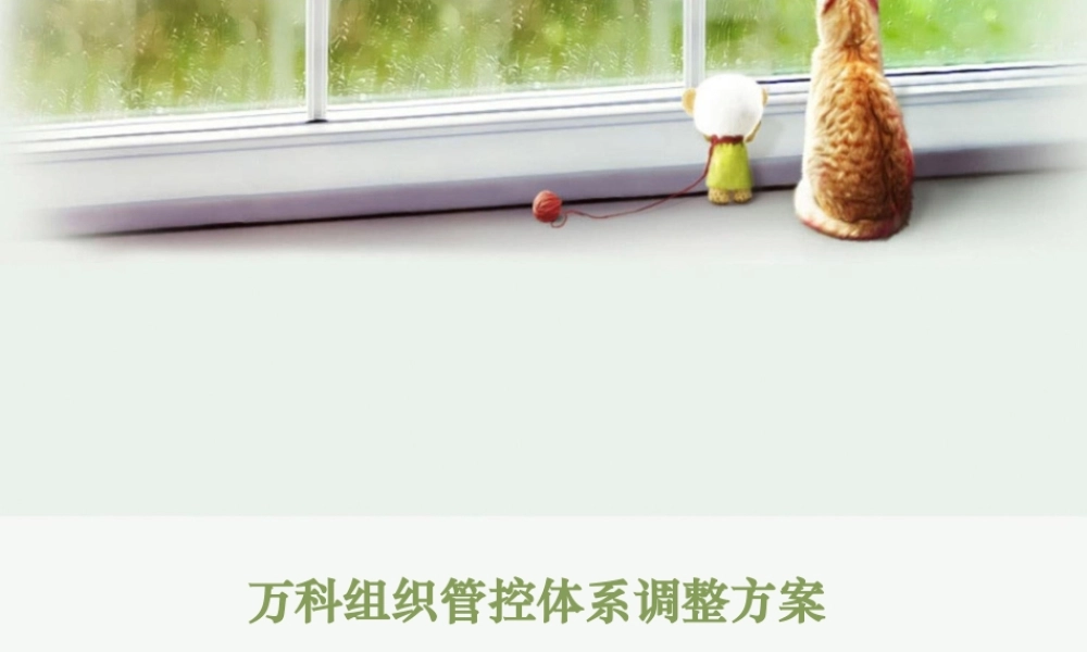【实例】锡恩：万科组织管控体系调整方案-101页.ppt
