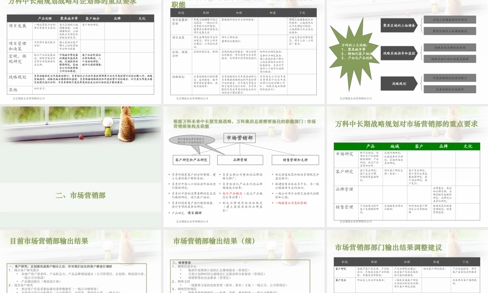 【实例】锡恩：万科组织管控体系调整方案-101页.ppt