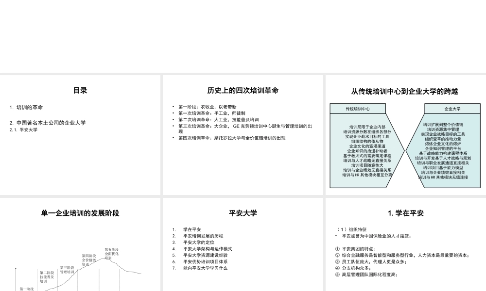 【模板】平安大学实践分享.ppt