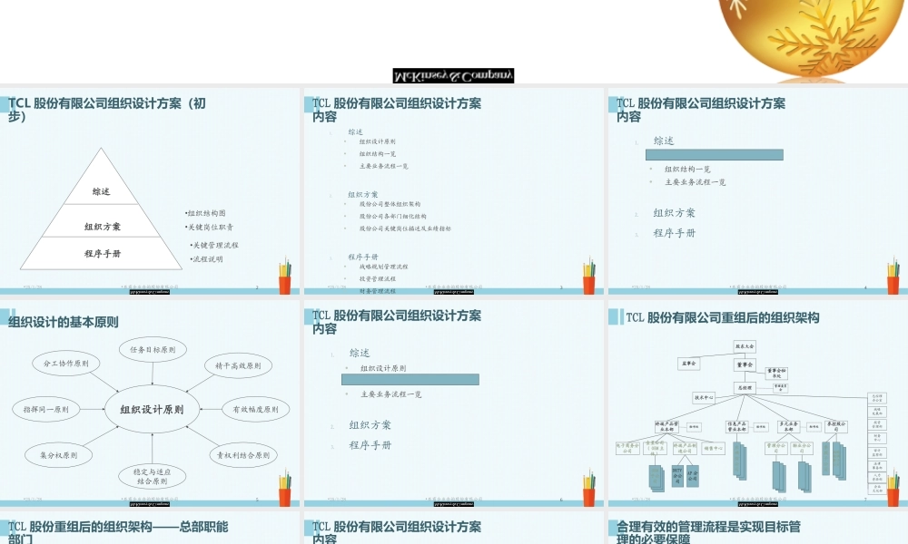 【实例】麦肯锡-TCL股份有限公司管理整合咨询-组织设计方案报告.ppt