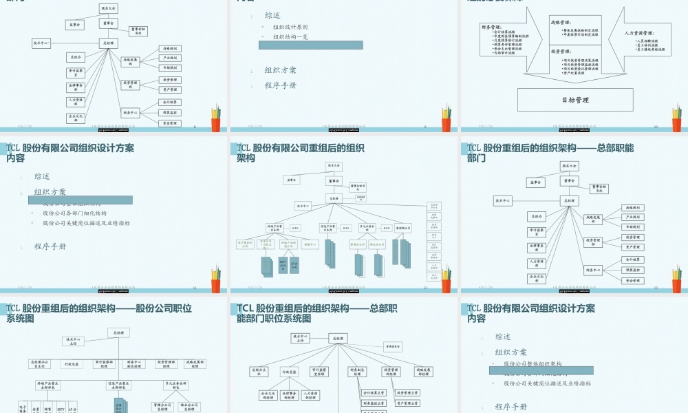 【实例】麦肯锡-TCL股份有限公司管理整合咨询-组织设计方案报告.ppt