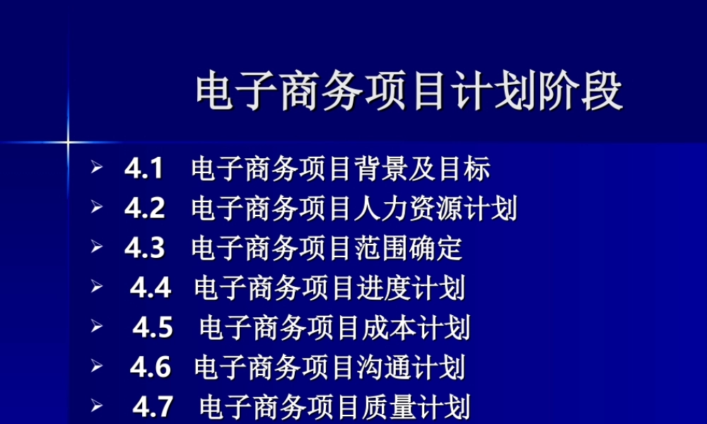 电子商务项目计划阶段.ppt