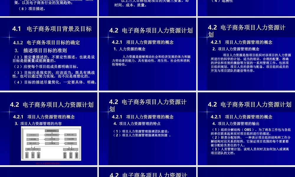 电子商务项目计划阶段.ppt