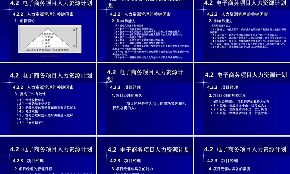 电子商务项目计划阶段.ppt