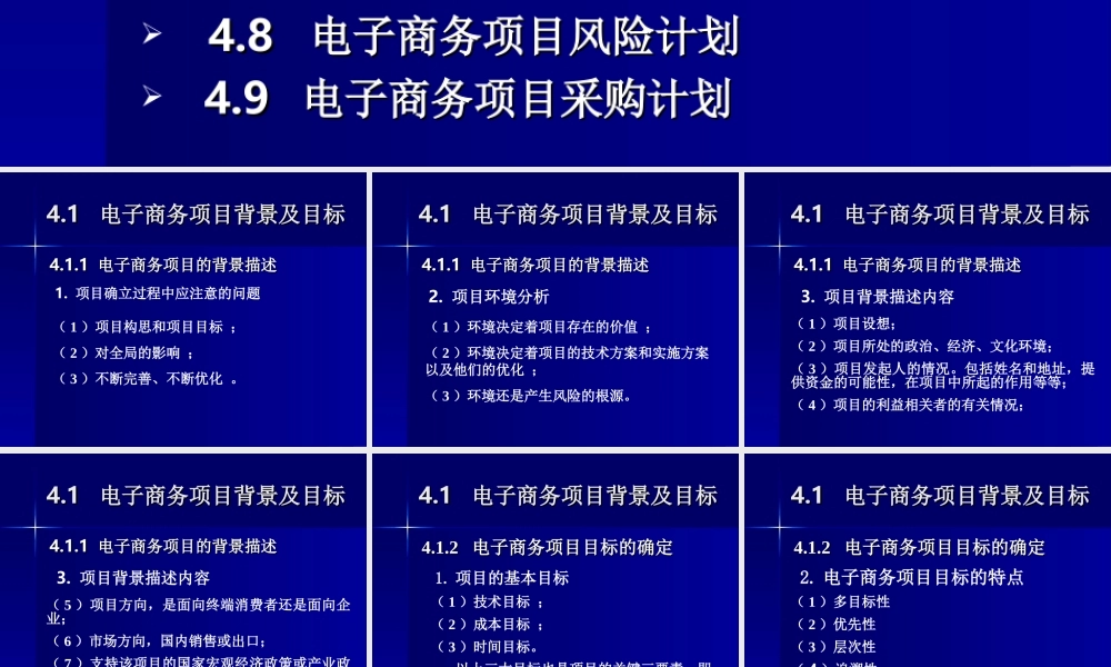电子商务项目计划阶段.ppt