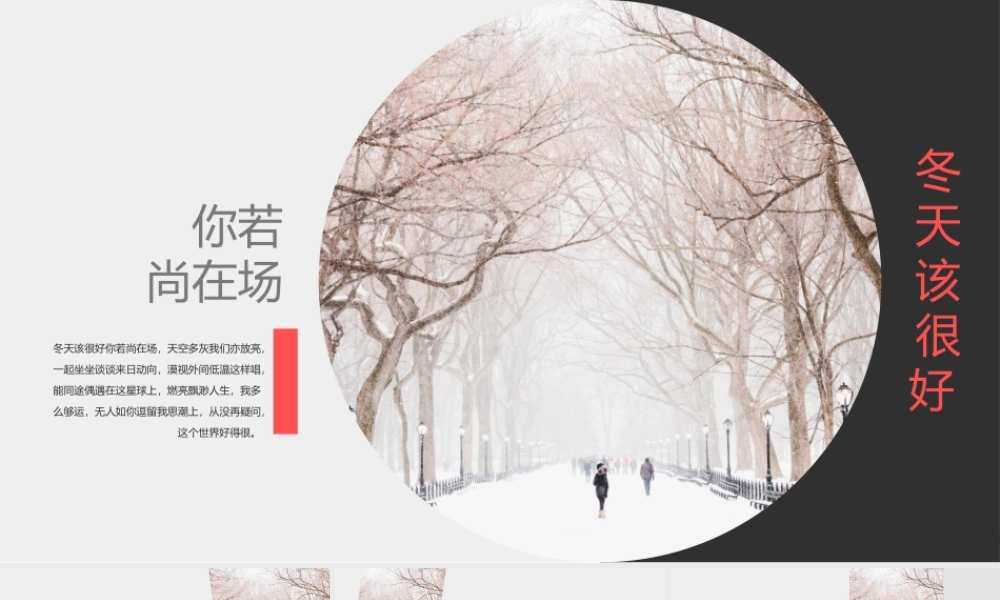 红色风格 (47).pptx