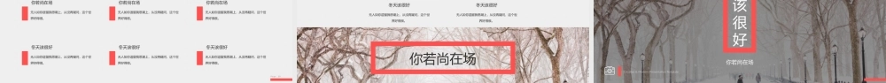 红色风格 (47).pptx