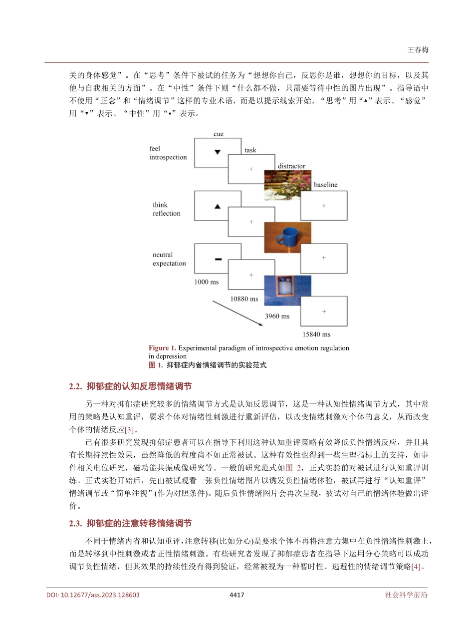 抑郁症内省情绪调节的神经基础与治疗实践.pdf_第3页