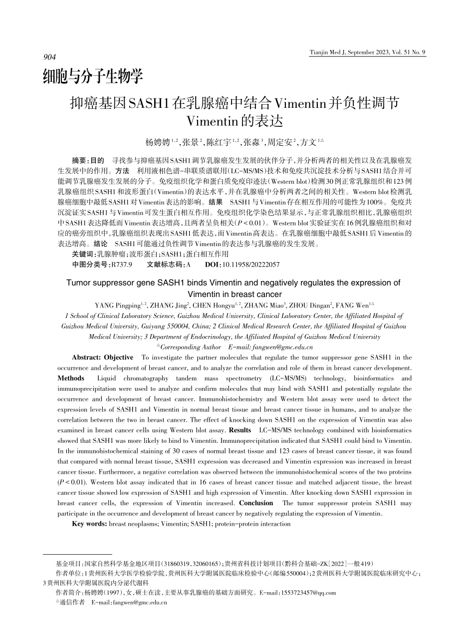 抑癌基因SASH1在乳腺癌中结合Vimentin并负性调节Vimentin的表达.pdf_第1页